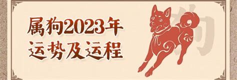 屬狗2023運勢|大师详解：属狗2023年全年运势运程及每月运程